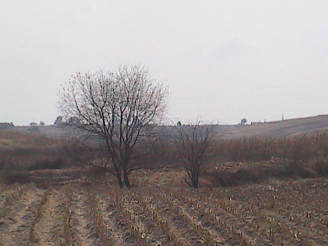 ARROYO MATABURRO